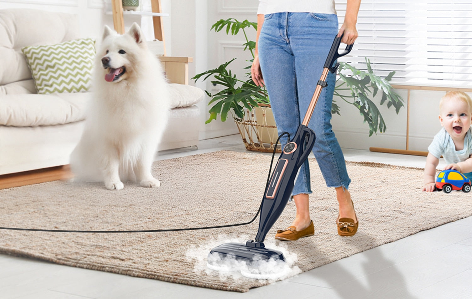 Steam, Sanitizing & Specialty Cleaners